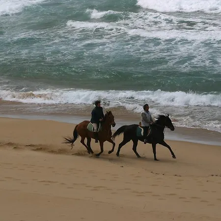 Centro Di Turismo Equestre Shangrila' Fluminimaggiore