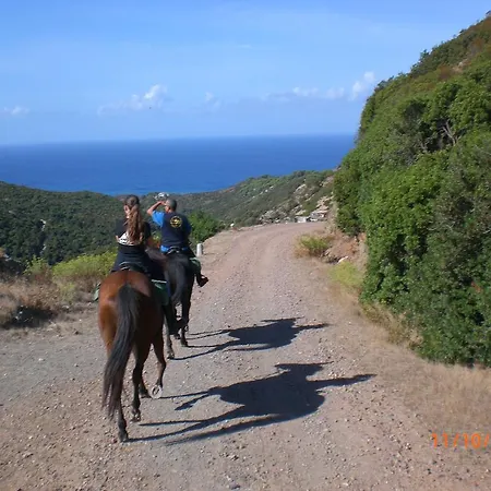 Bed & Breakfast Centro Di Turismo Equestre Shangrila'