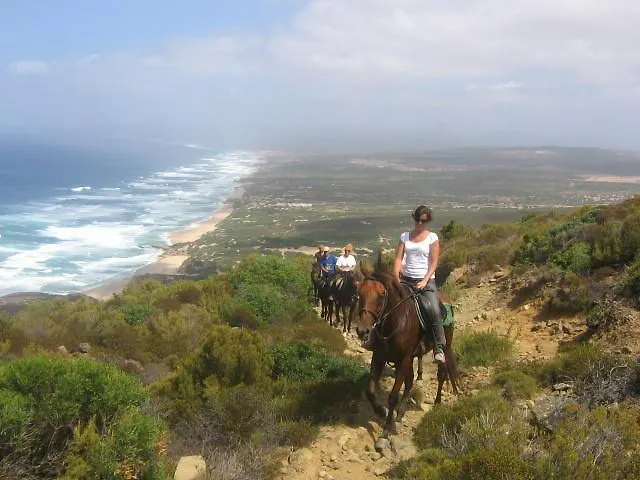 Centro Di Turismo Equestre Shangrila' 弗卢米尼马焦雷