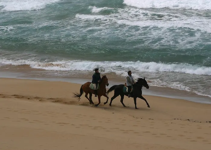 Centro Di Turismo Equestre Shangrila' 弗卢米尼马焦雷