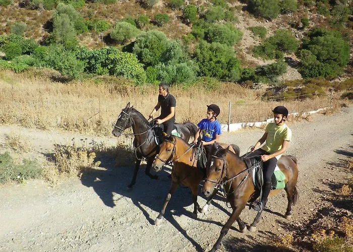 Centro Di Turismo Equestre Shangrila' Fluminimaggiore